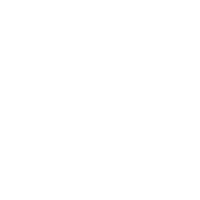 House Painting Service
